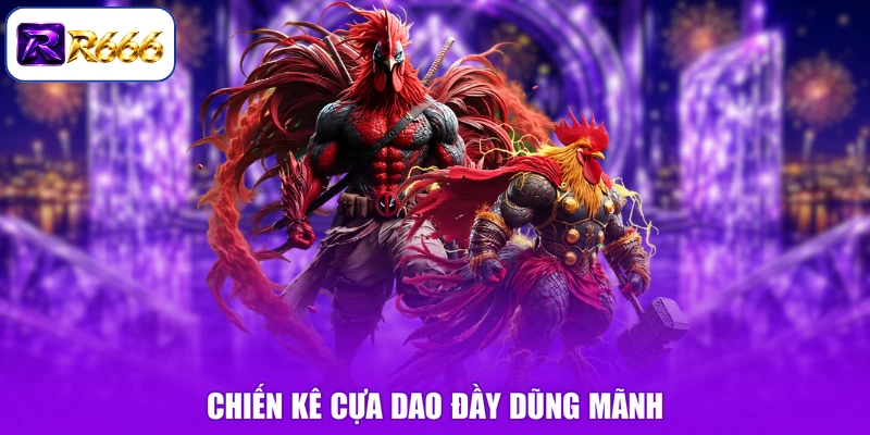 Chiến kê cựa dao đầy dũng mãnh