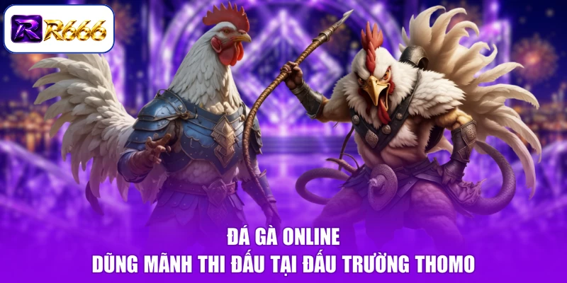 Đá gà online dũng mãnh thi đấu tại đấu trường Thomo