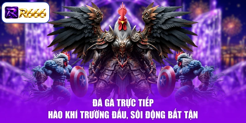 Đá Gà Trực Tiếp - Hào Khí Trường Đấu, Sôi Động Bất Tận