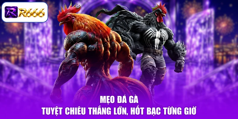 Mẹo Đá Gà - Tuyệt Chiêu Thắng Lớn, Hốt Bạc Từng Giờ