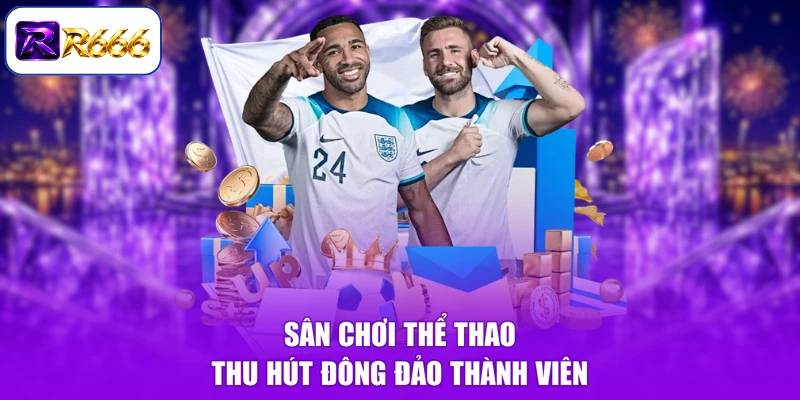 Sân chơi thể thao thu hút đông đảo thành viên
